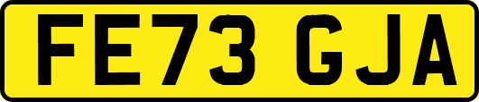 FE73GJA