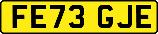 FE73GJE
