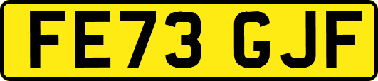 FE73GJF