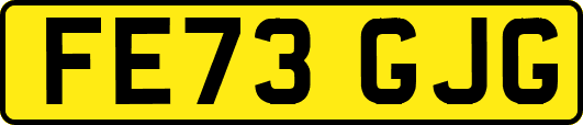 FE73GJG