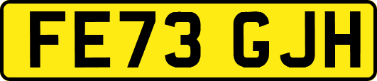 FE73GJH