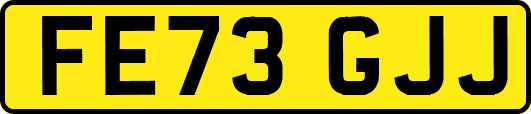FE73GJJ