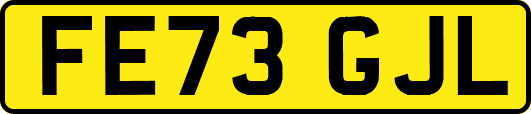 FE73GJL