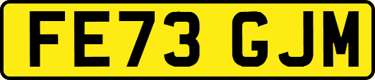 FE73GJM