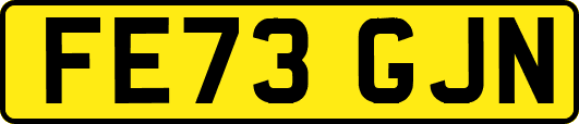 FE73GJN