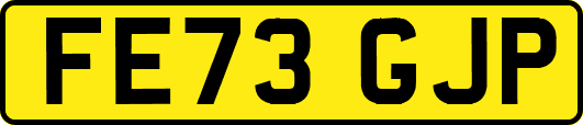 FE73GJP