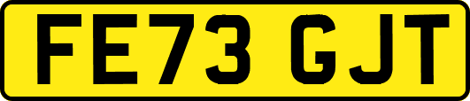FE73GJT