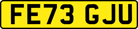 FE73GJU