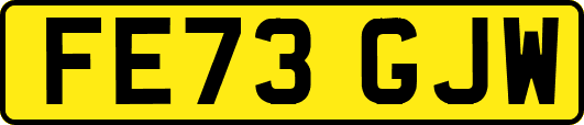 FE73GJW