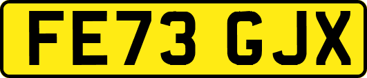 FE73GJX