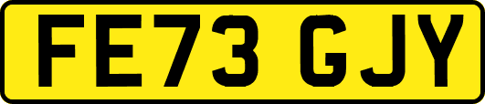 FE73GJY
