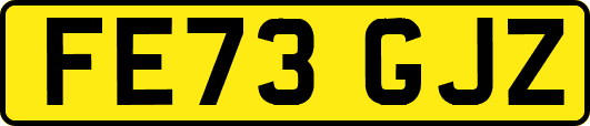 FE73GJZ