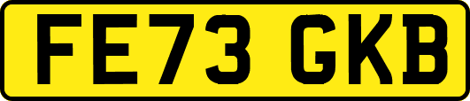 FE73GKB