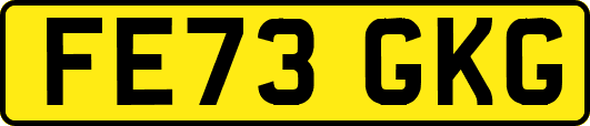 FE73GKG
