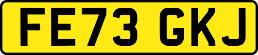 FE73GKJ