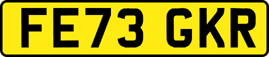 FE73GKR