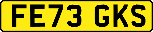 FE73GKS