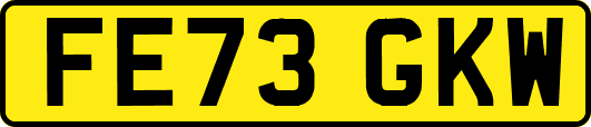 FE73GKW