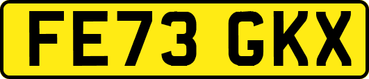FE73GKX