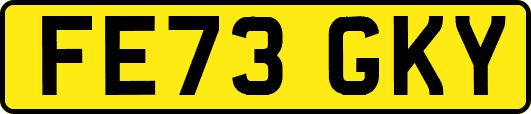 FE73GKY