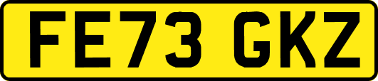 FE73GKZ