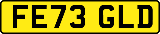 FE73GLD