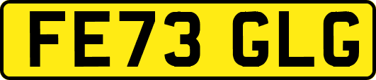 FE73GLG