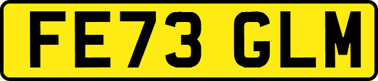FE73GLM