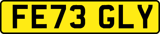 FE73GLY