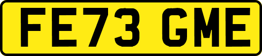 FE73GME