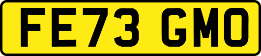 FE73GMO