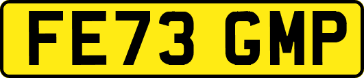 FE73GMP