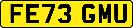 FE73GMU