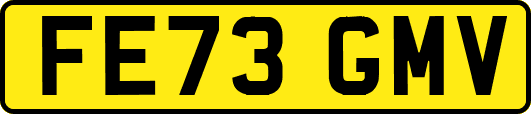 FE73GMV