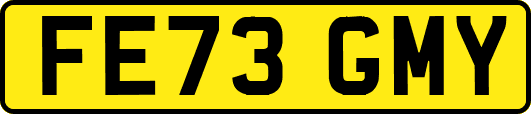 FE73GMY