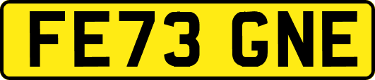 FE73GNE