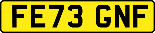 FE73GNF