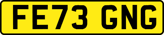 FE73GNG