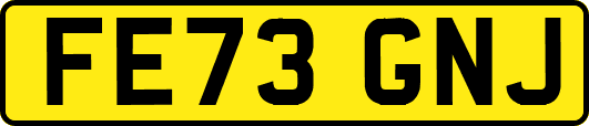 FE73GNJ