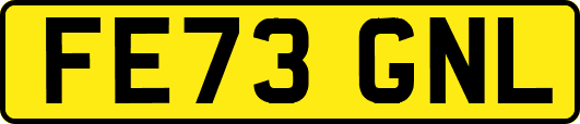 FE73GNL