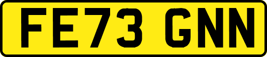 FE73GNN