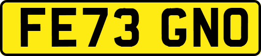 FE73GNO