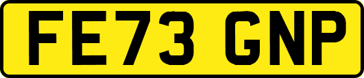 FE73GNP
