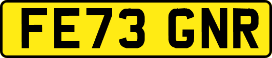 FE73GNR