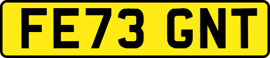 FE73GNT