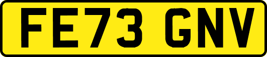FE73GNV