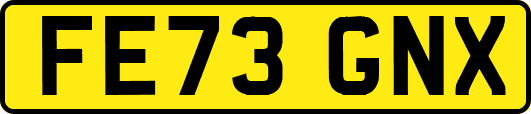 FE73GNX
