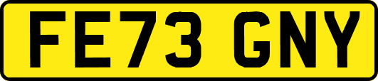 FE73GNY