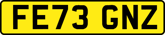 FE73GNZ