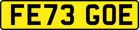 FE73GOE